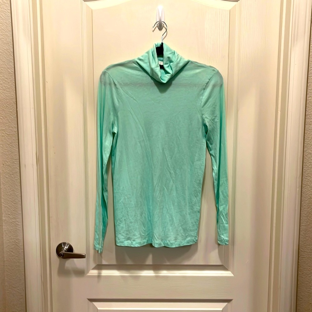 Sheer mint green long sleeved J Crew turtleneck.